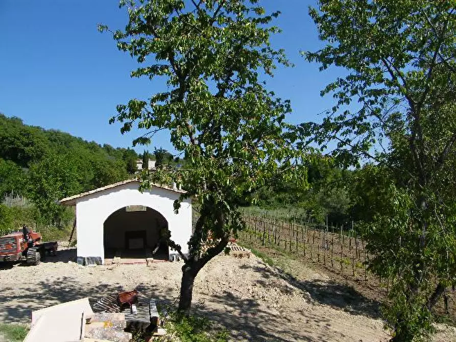 Immagine 3 di Terreno agricolo in vendita  a Sarteano