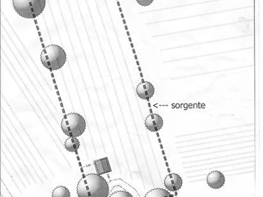Immagine 5 di Terreno agricolo in vendita  a Sarteano