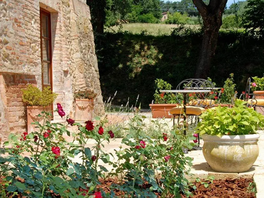Immagine 4 di Agriturismo in vendita  a Montepulciano