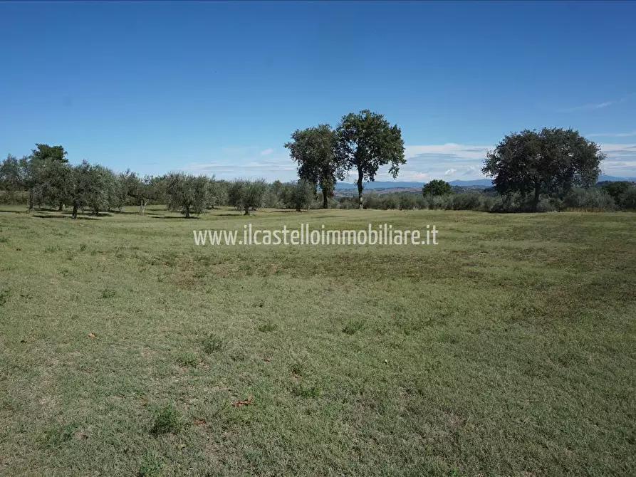 Immagine 2 di Terreno agricolo in vendita  a Sarteano