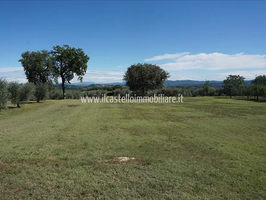 Immagine 10 di Terreno agricolo in vendita  a Sarteano