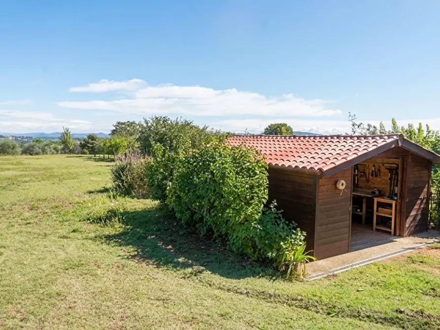 Immagine 1 di Terreno agricolo in vendita  a Sarteano