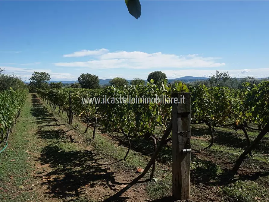Immagine 3 di Terreno agricolo in vendita  a Sarteano