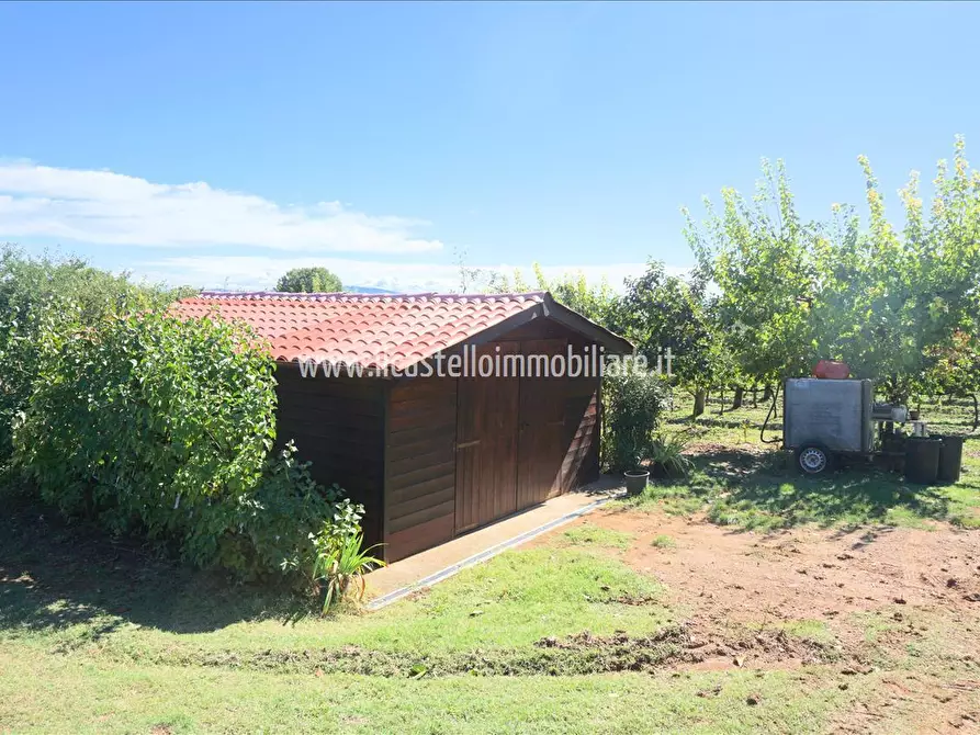 Immagine 6 di Terreno agricolo in vendita  a Sarteano