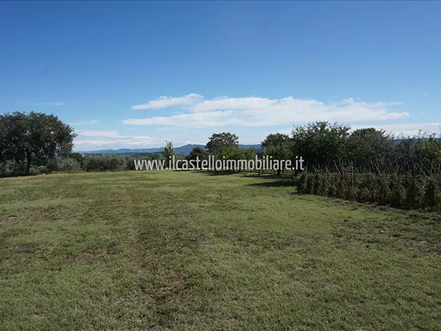 Immagine 8 di Terreno agricolo in vendita  a Sarteano