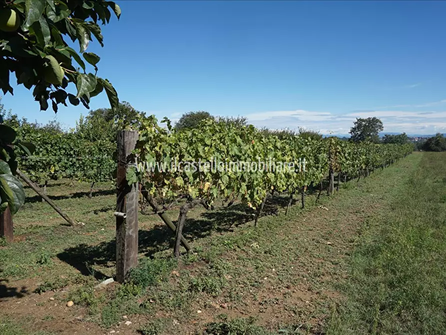 Immagine 9 di Terreno agricolo in vendita  a Sarteano