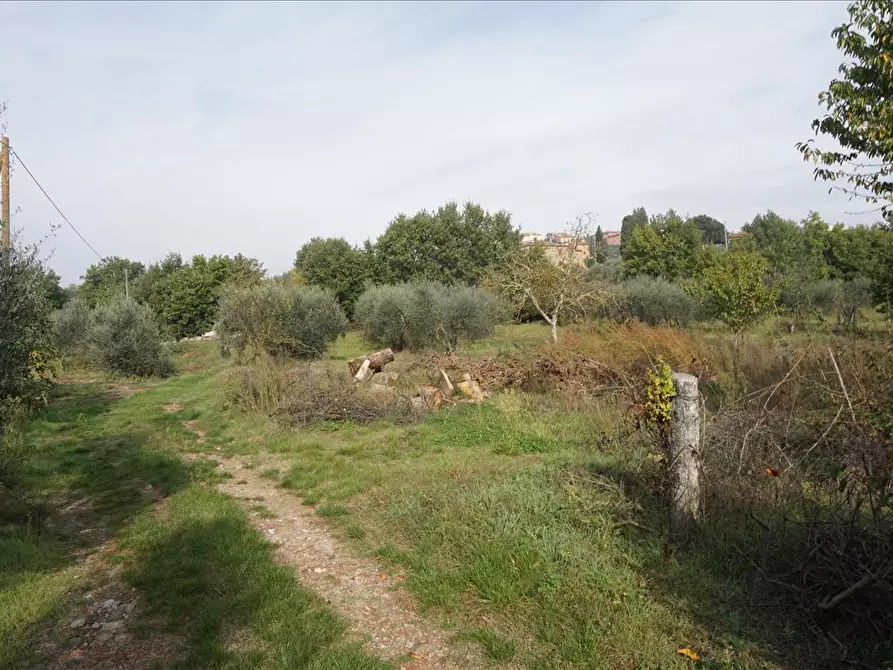 Immagine 5 di Rustico / casale in vendita  in piazza Giuseppe Garibaldi, 43 a Sinalunga