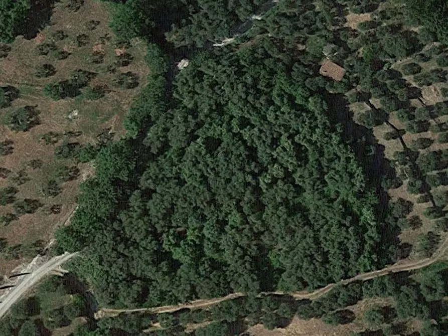 Immagine 1 di Terreno agricolo in vendita  a Sarteano