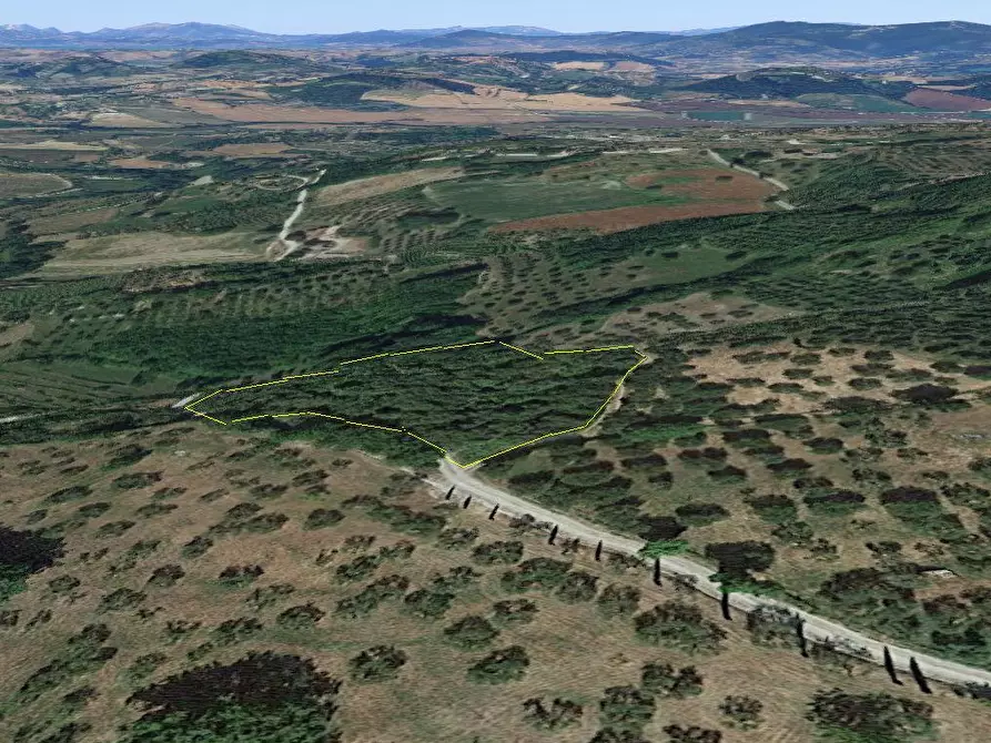 Immagine 2 di Terreno agricolo in vendita  a Sarteano