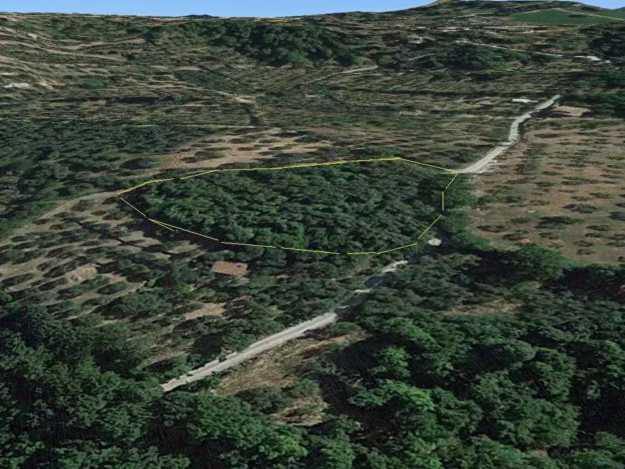 Immagine 3 di Terreno agricolo in vendita  a Sarteano