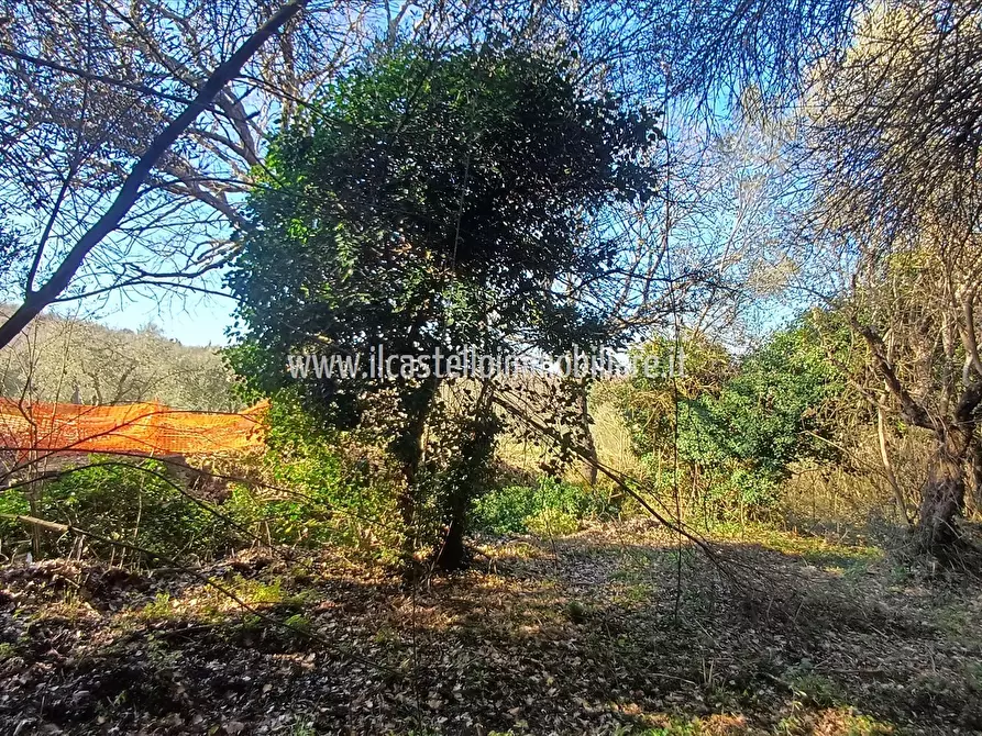 Immagine 4 di Terreno agricolo in vendita  a Sarteano