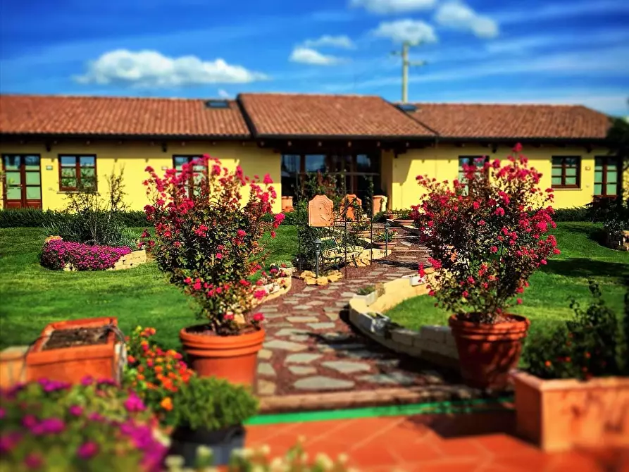 Immagine 10 di Agriturismo in vendita  a Montepulciano