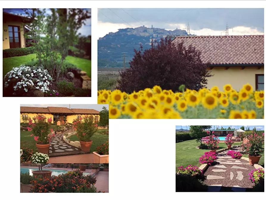 Immagine 4 di Agriturismo in vendita  a Montepulciano