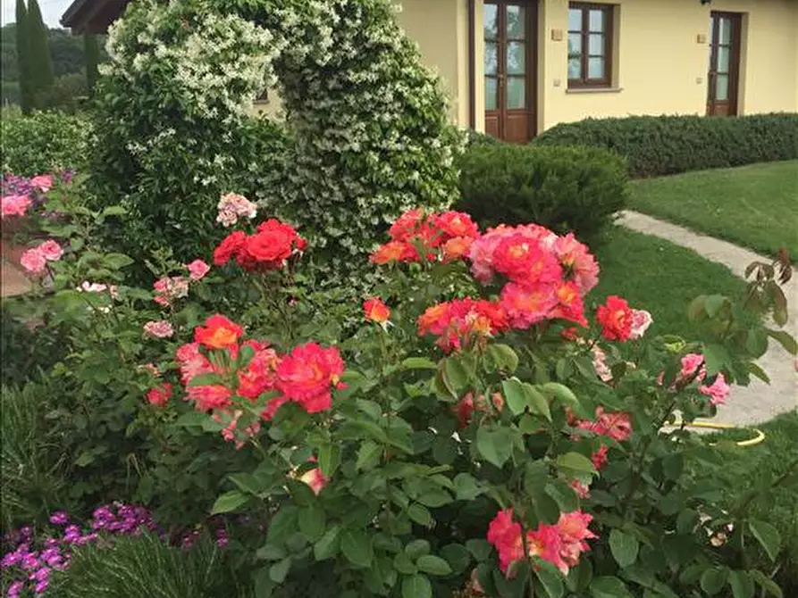 Immagine 7 di Agriturismo in vendita  a Montepulciano