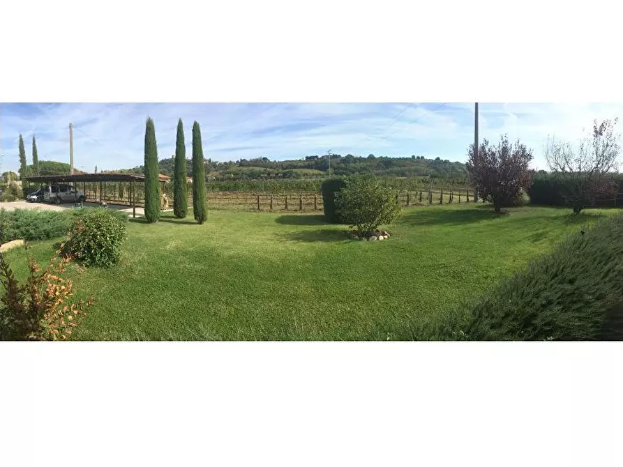 Immagine 8 di Agriturismo in vendita  a Montepulciano