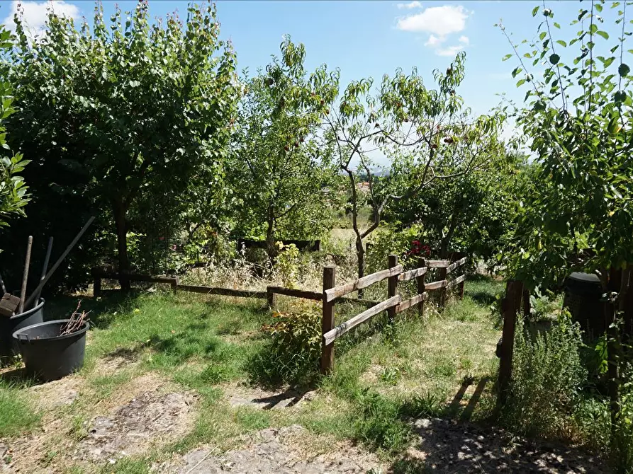 Immagine 7 di Appartamento in vendita  a Sarteano