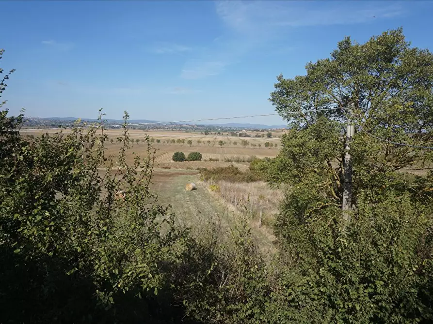 Immagine 10 di Terratetto in vendita  a Cortona