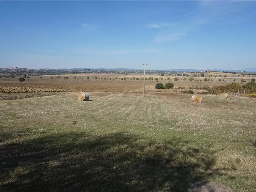 Immagine 1 di Terratetto in vendita  a Cortona