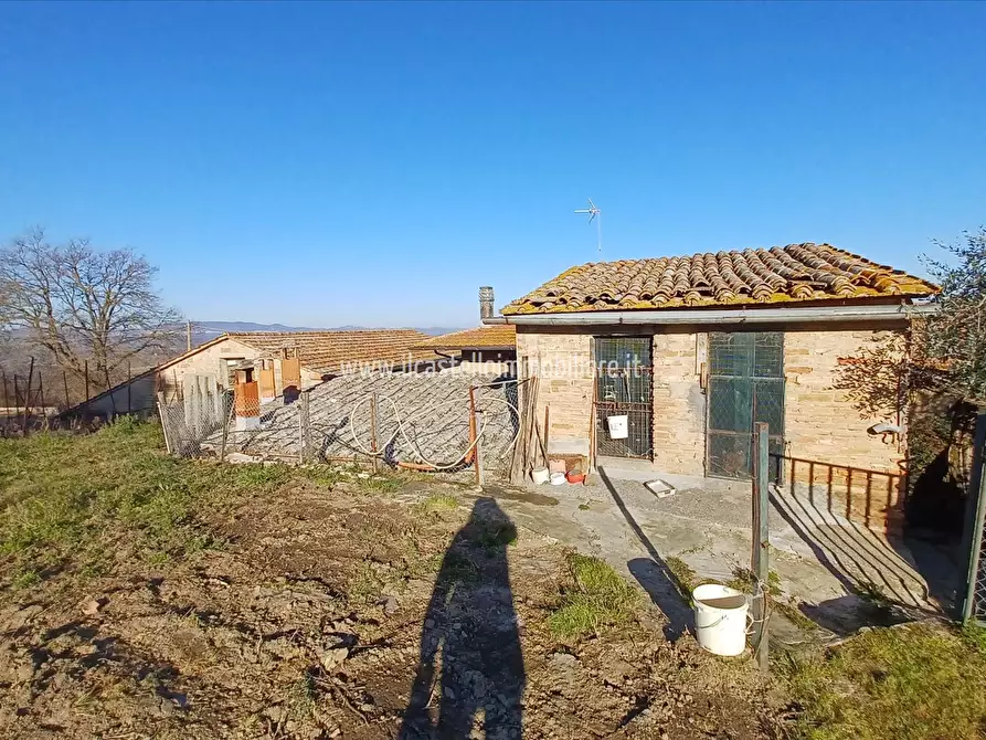 Immagine 4 di Azienda agricola in vendita  in Piazza XX Settembre, 1 a Chiusi