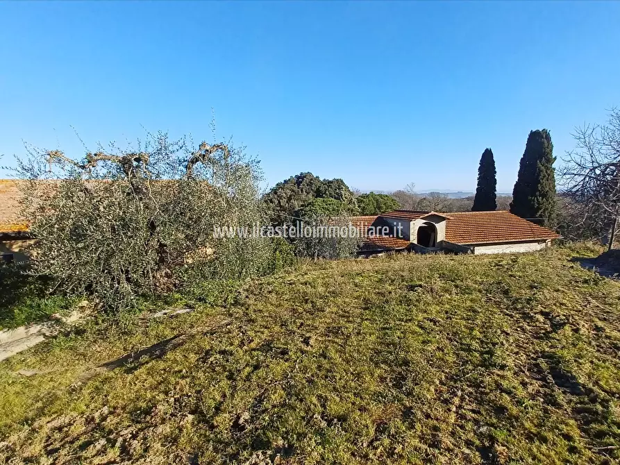 Immagine 5 di Azienda agricola in vendita  in Piazza XX Settembre, 1 a Chiusi