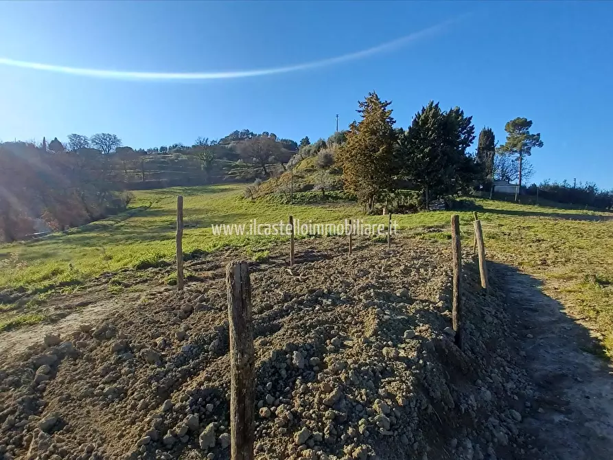 Immagine 6 di Azienda agricola in vendita  in Piazza XX Settembre, 1 a Chiusi