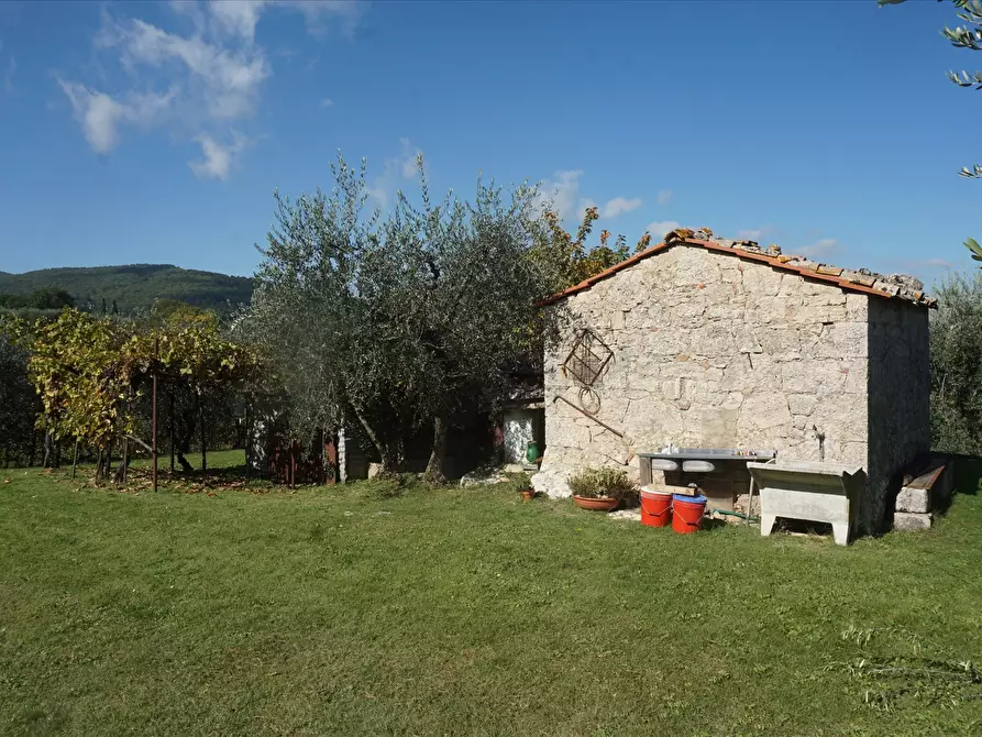 Immagine 1 di Terreno agricolo in affitto  a Sarteano