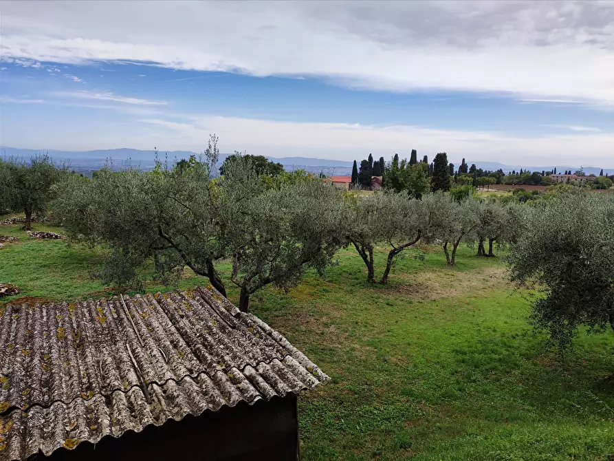 Immagine 2 di Terreno agricolo in affitto  a Sarteano