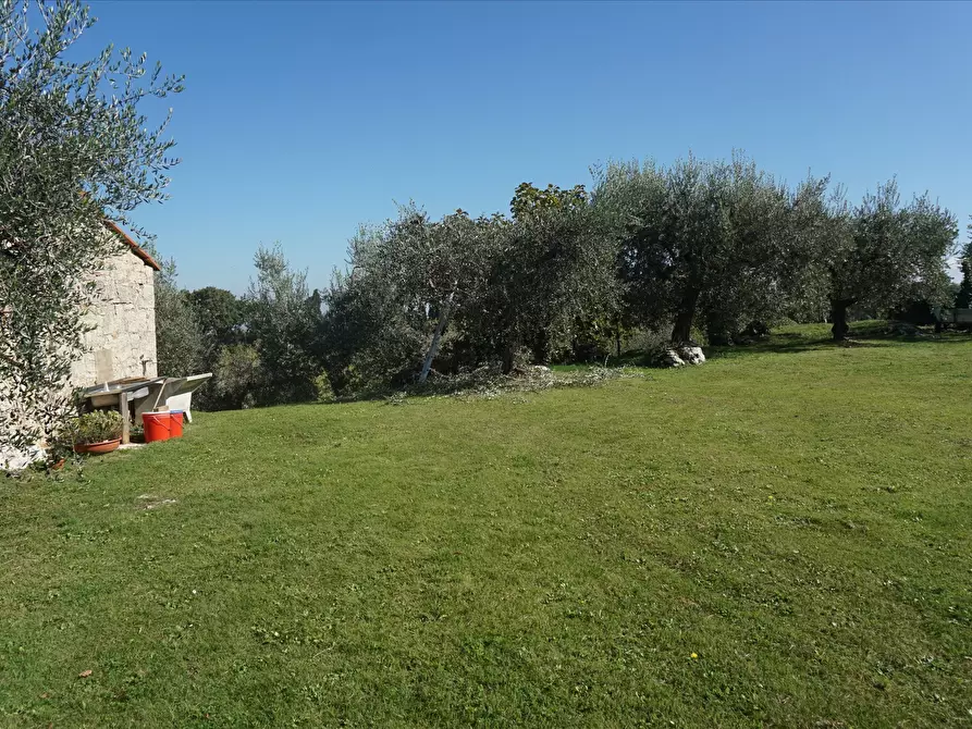 Immagine 3 di Terreno agricolo in affitto  a Sarteano