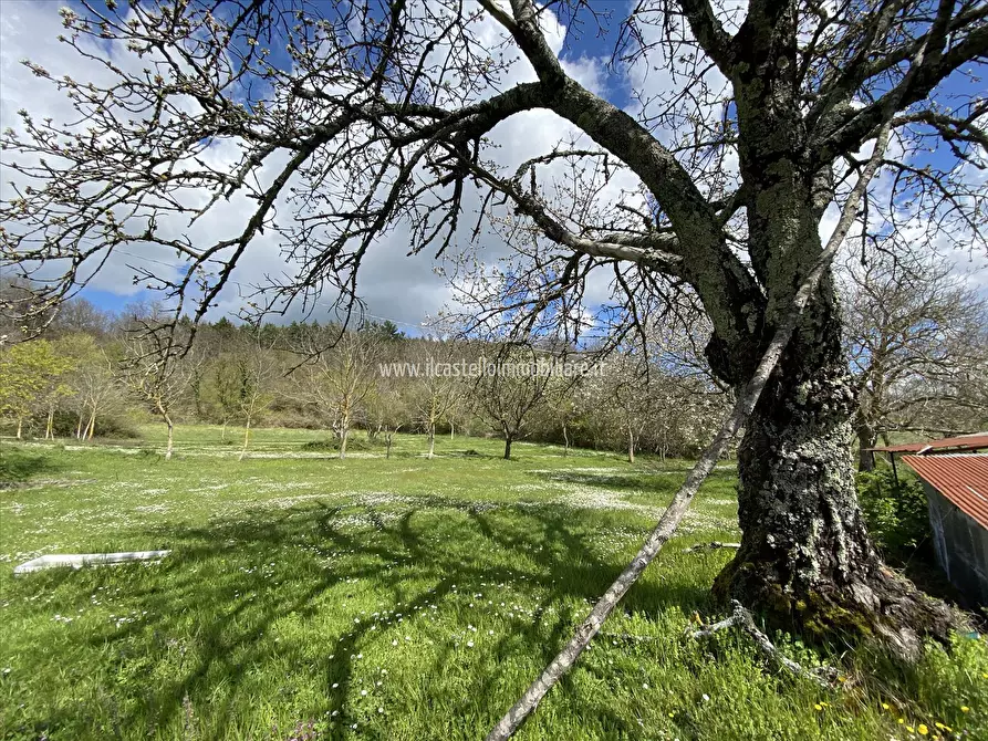 Immagine 10 di Terratetto in vendita  in loc Fonte Renza, 36 a Sarteano