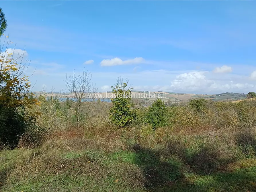 Immagine 9 di Rustico / casale in vendita  in Loc Rengone a Castiglione Del Lago