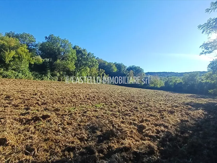 terreno agricolo in vendita a Sarteano