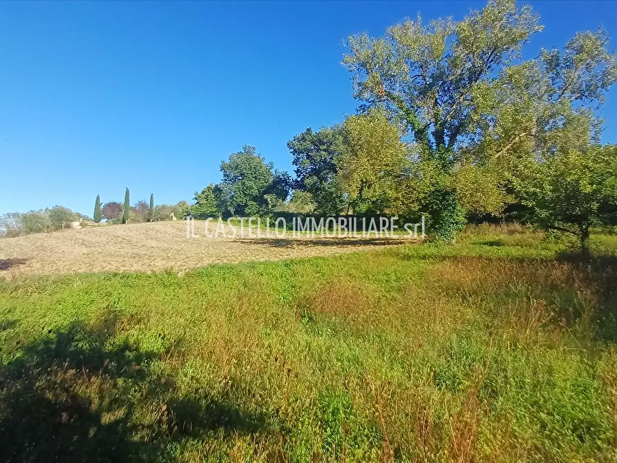 Immagine 10 di Terreno agricolo in vendita  in viale Beato Alberto, 4 a Sarteano