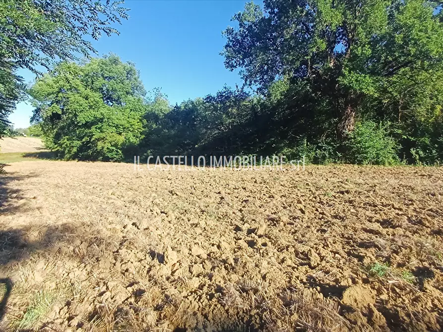 Immagine 2 di Terreno agricolo in vendita  in viale Beato Alberto, 4 a Sarteano