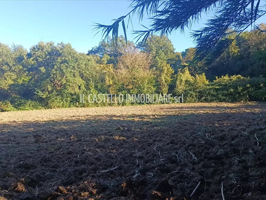 Immagine 4 di Terreno agricolo in vendita  in viale Beato Alberto, 4 a Sarteano