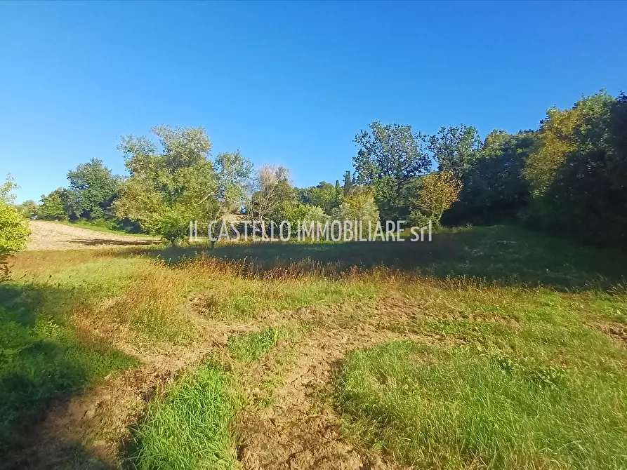Immagine 7 di Terreno agricolo in vendita  in viale Beato Alberto, 4 a Sarteano