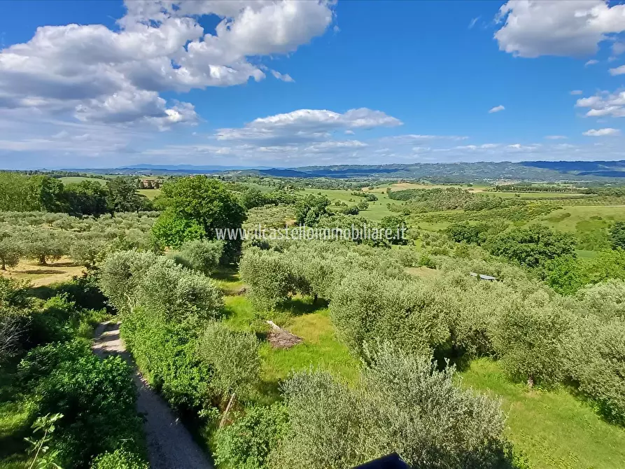 Immagine 6 di Villa in vendita  in via Provinciale, 48 a Cetona