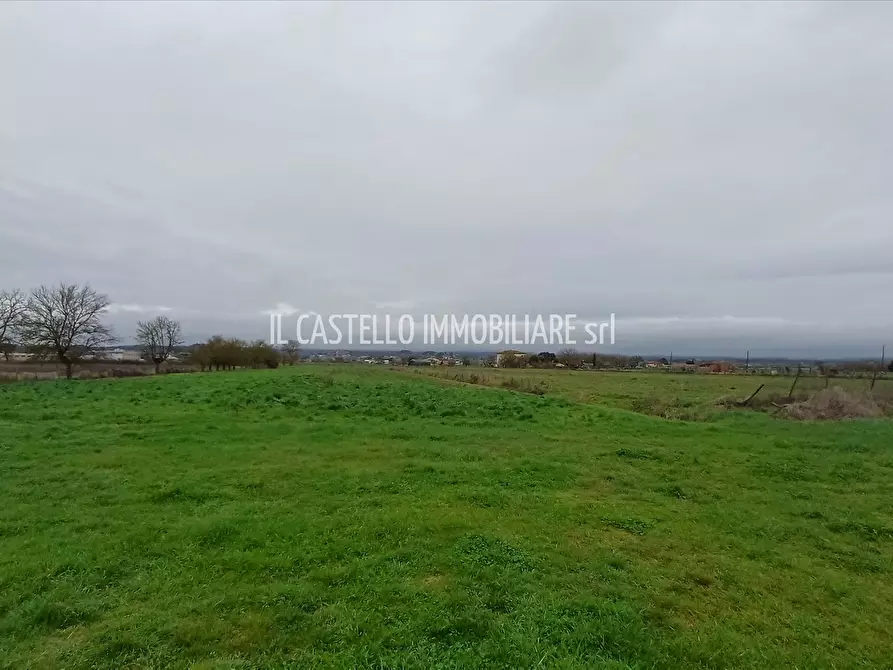 Immagine 2 di Rustico / casale in vendita  a Torrita Di Siena