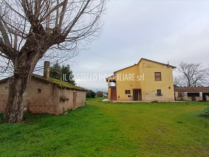 Immagine 3 di Rustico / casale in vendita  a Torrita Di Siena