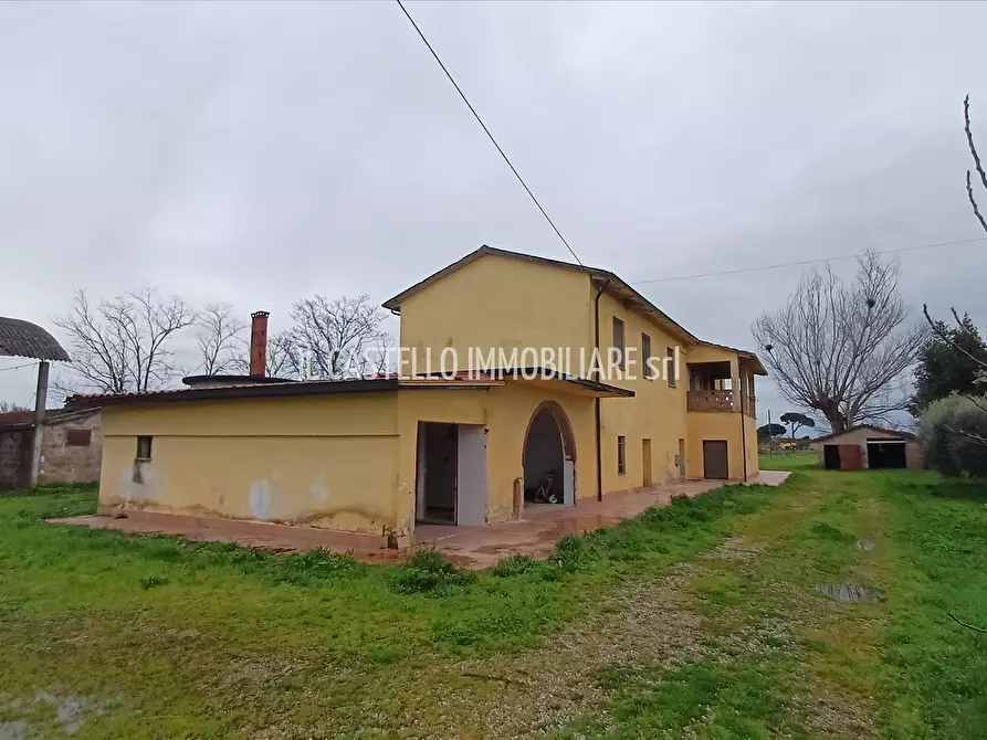 Immagine 8 di Rustico / casale in vendita  a Torrita Di Siena