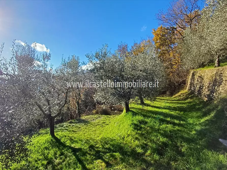 Immagine 10 di Terreno agricolo in vendita  in via Beato Alberto, 4 a Sarteano
