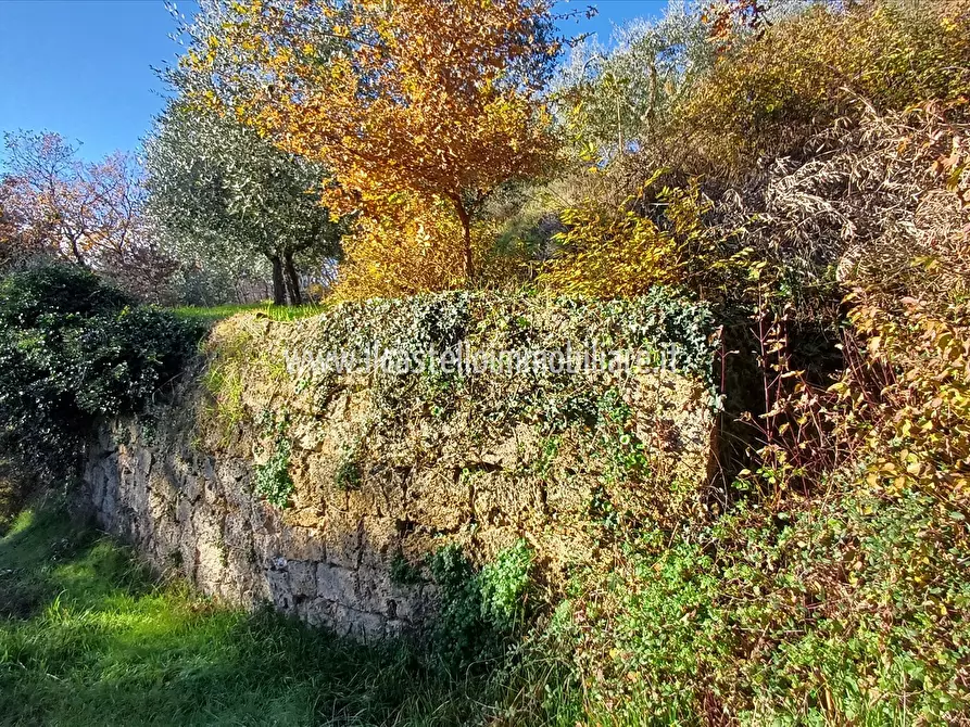 Immagine 5 di Terreno agricolo in vendita  in via Beato Alberto, 4 a Sarteano