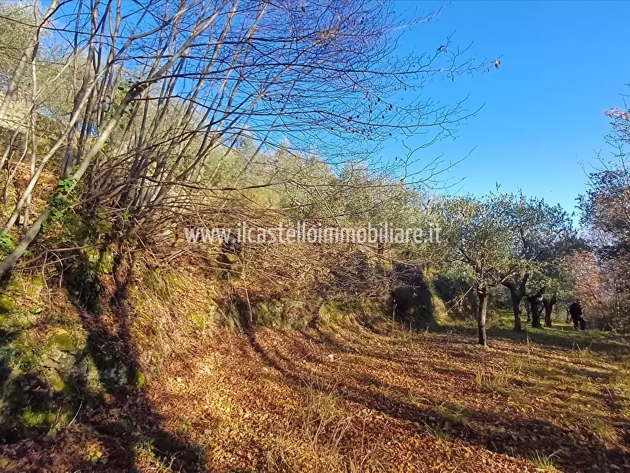 Immagine 6 di Terreno agricolo in vendita  in via Beato Alberto, 4 a Sarteano