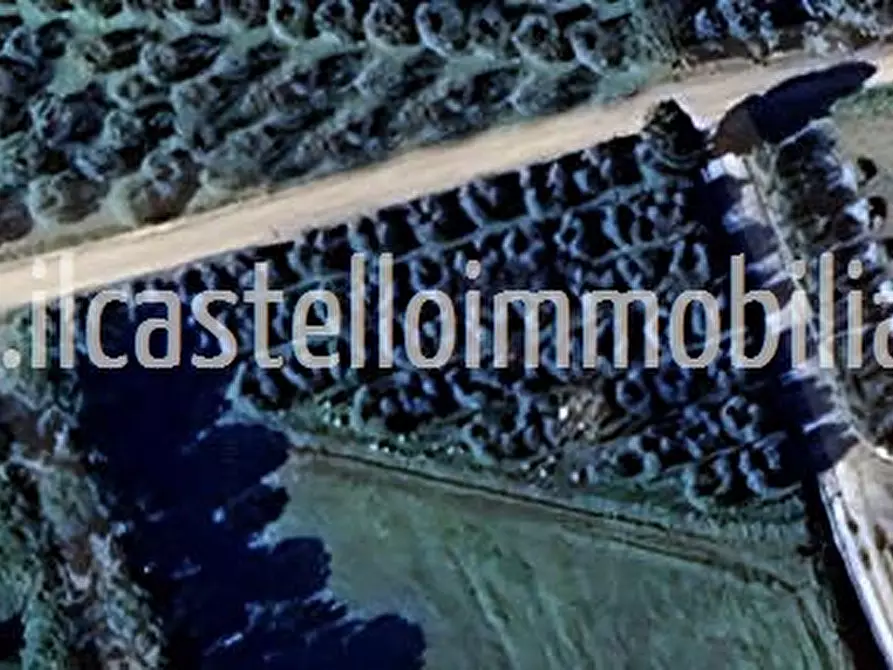 Immagine 5 di Terreno agricolo in vendita  a Chiusi