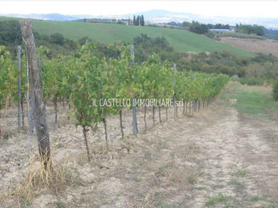 Immagine 1 di Terreno agricolo in vendita  a San Casciano Dei Bagni