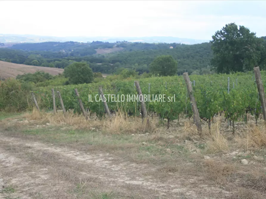 Immagine 2 di Terreno agricolo in vendita  a San Casciano Dei Bagni
