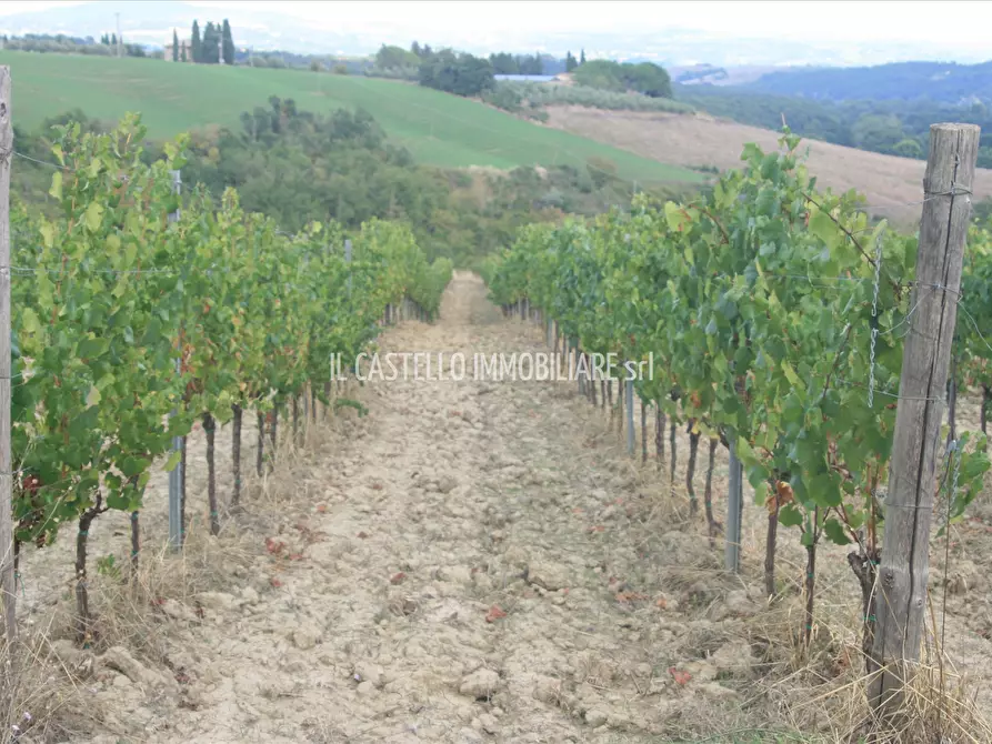 Immagine 4 di Terreno agricolo in vendita  a San Casciano Dei Bagni