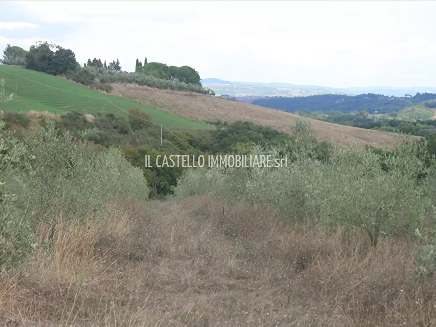 Immagine 5 di Terreno agricolo in vendita  a San Casciano Dei Bagni