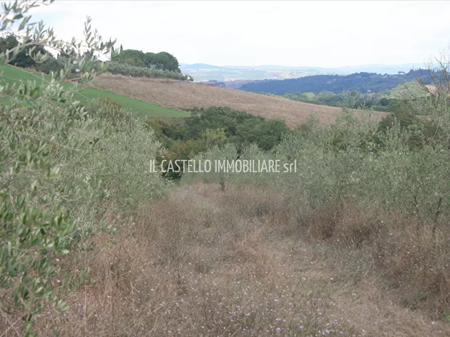 Immagine 6 di Terreno agricolo in vendita  a San Casciano Dei Bagni