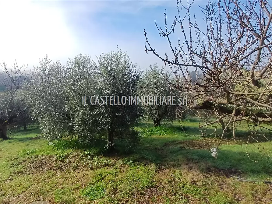 Immagine 3 di Rustico / casale in vendita  in via Del Leccetello, 31 a Trequanda