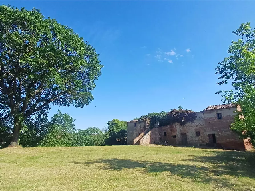 Immagine 2 di Rustico / casale in vendita  in via Cocconi, 25 a Montepulciano